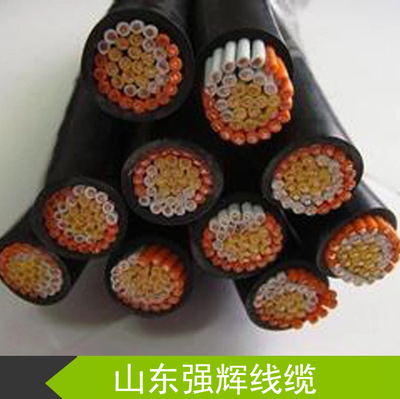 厂家直销计算机屏蔽信号电缆  国标新型防腐电力电缆