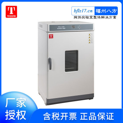 经销批发 天津泰斯特实验室烘箱WGLL-125BE 工业电热鼓风干燥箱图1