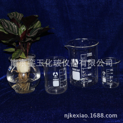 北玻玻璃烧杯 透明低型烧杯 教学实验玻璃仪器定制 化学仪器