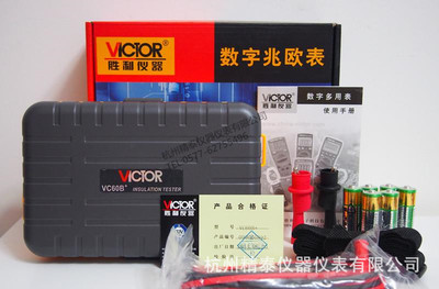 深圳胜利 VC60B+ 数字兆欧表 绝缘电阻表 1000V 2000MΩ