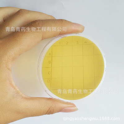 营养琼脂表面接触皿55mm HBPM003-21 青岛青药培养基