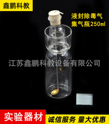 厂家直销 液封除毒气瓶250ml 长颈安全化学实验器材 液封除毒气瓶