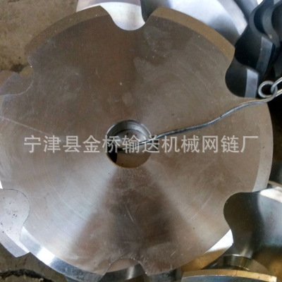 厂家直销304不锈钢链轮耐腐蚀工业传送链轮双节据链轮非标定制