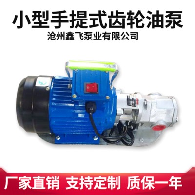 厂家直销304不锈钢齿轮泵WCB手提式电动便携润滑油齿轮泵