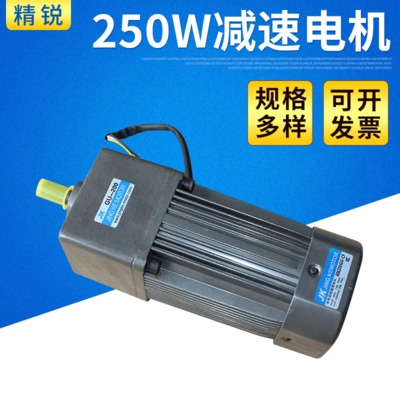 250w微型直流减速电机 调速电动机 微型减速马达异步电机