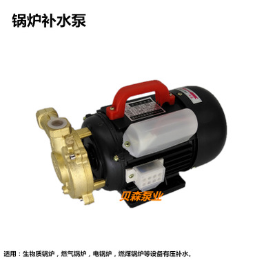 高压旋涡泵1/2DW-750电蒸汽锅炉泵生物质锅炉配件替奥龙正田泵