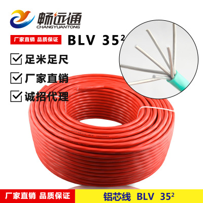 厂家直销  电力电缆 低压国标铝芯电线BLV35平方塑铝线  铝塑线