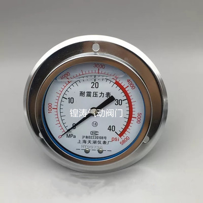 上海天湖压力表油压表真空表带边Y60耐震压力表上海太湖仪表厂