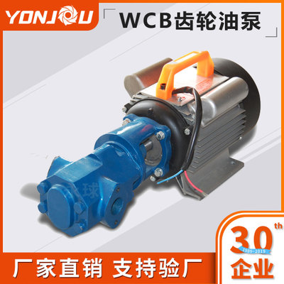厂家直销 现货供应 柴油泵 输送稀油 便携手提式 WCB齿轮泵