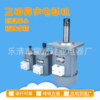 三相异步电动机B062Z 微型电机YDT60-2 60W 抱闸电机 液压电机