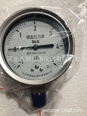 北京布莱迪全钢充油耐震膜盒压力表 微压表 YEFN-100 膜片压力表